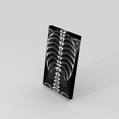 LuigiToan Xray Still