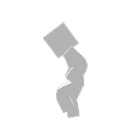 Tier 2 Icon